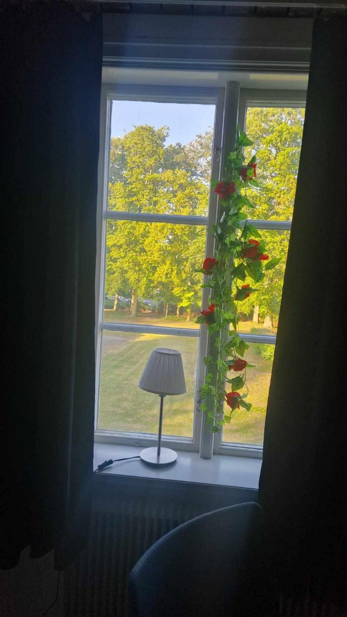 Charlottsborgs Camping Och Vandrarhem Kristianstad Bagian luar foto